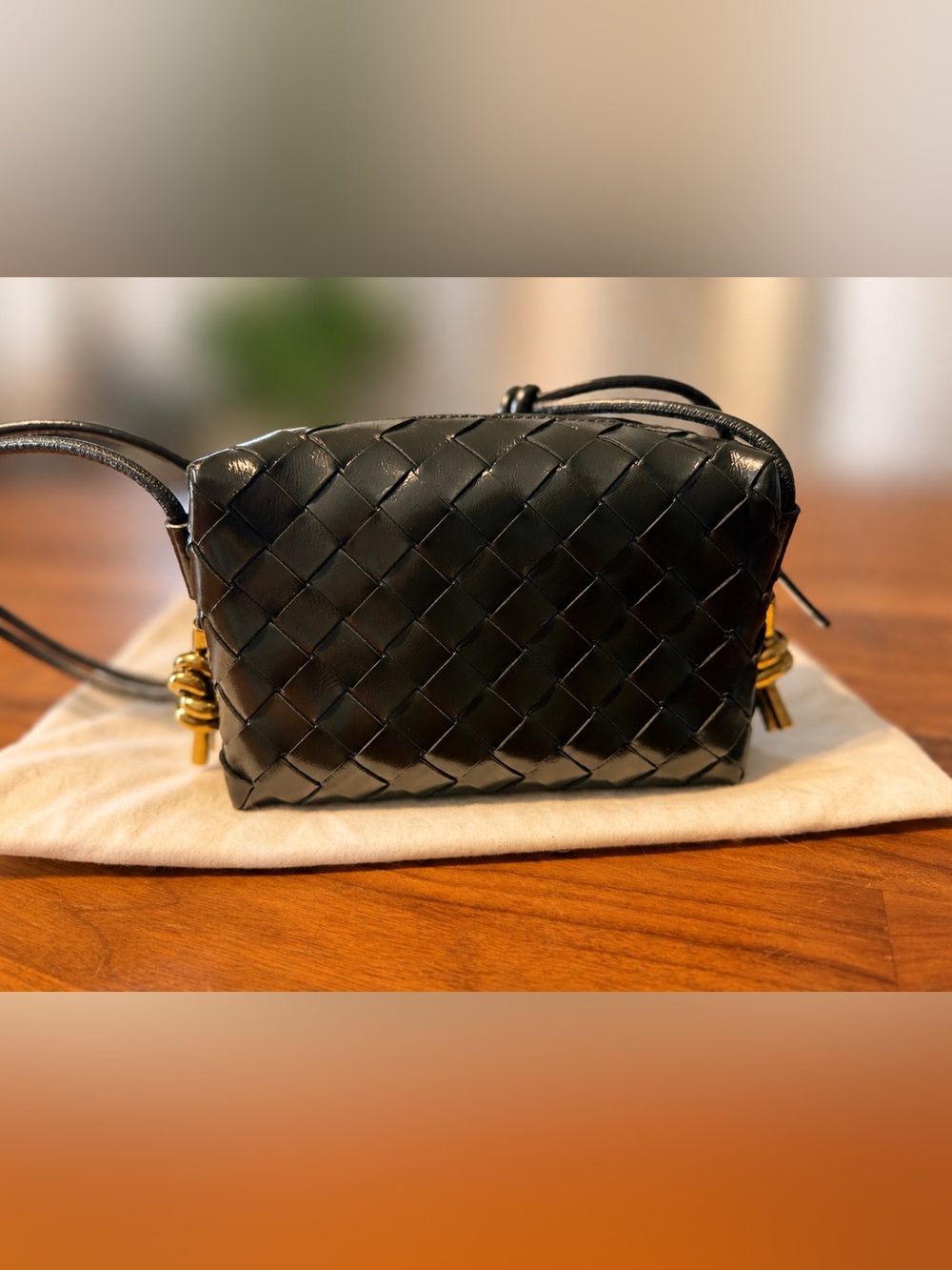 BOTTEGA VENETA Mini Loop Metal Knots Dark Green **Never Worn**